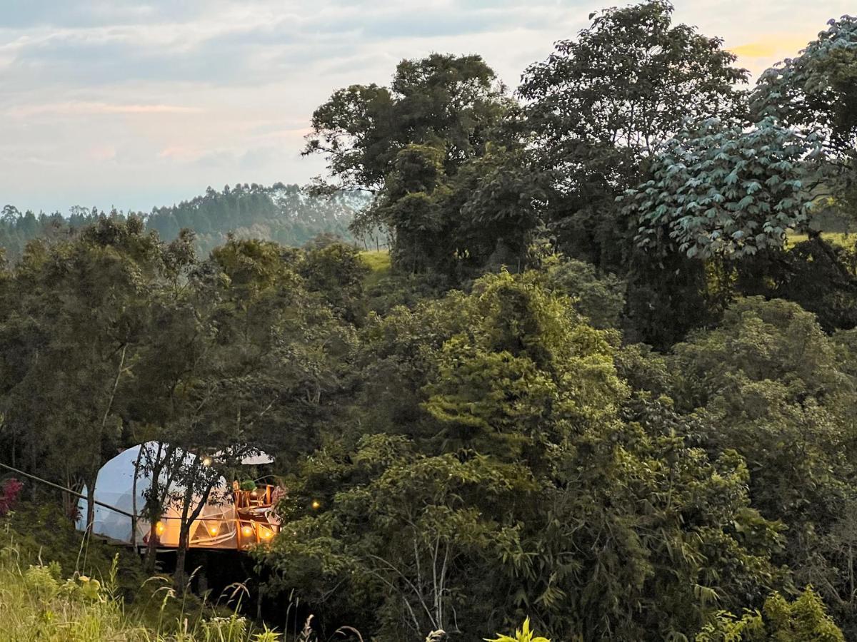 Solana Glamping Hotel Pereira Bagian luar foto